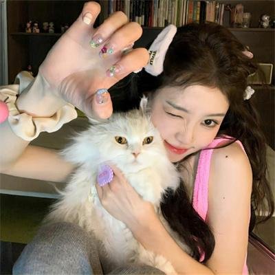 鲅鱼恋上猫