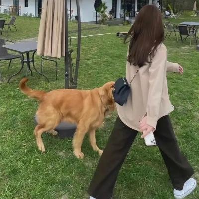 我们村的指导员